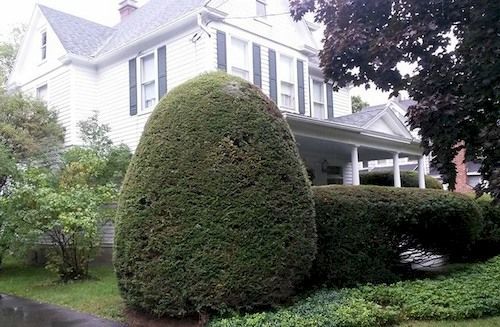 Park House Bed & Breakfast 존슨시티 외부 사진
